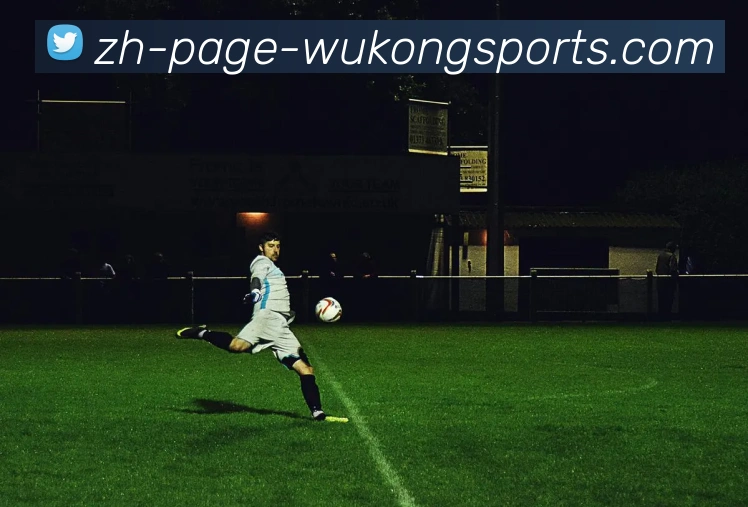 悟空体育发展历程